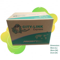 CITY-LINK EXPRESS Carton Box - Large Box