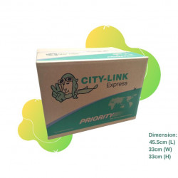 CITY-LINK EXPRESS Carton Box - Medium Box