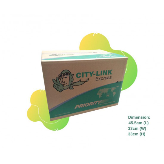 CITY-LINK EXPRESS Carton Box - Medium Box