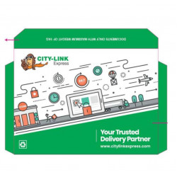 CITY-LINK EXPRESS Document Hard Envelope
