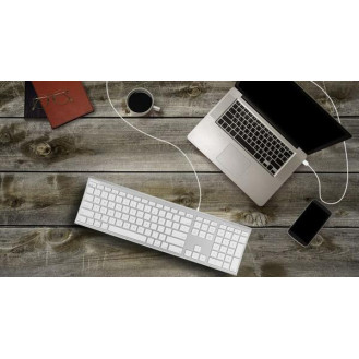 MACALLY Aluminum Ultra Slim USB Wired keyboard for Mac and PC